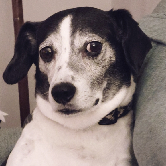 Meet your Posher, Linda - Picture 2 of 4